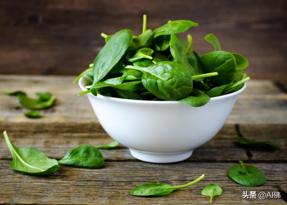 狗哪些食物不适合吃,不适合狗狗的食物