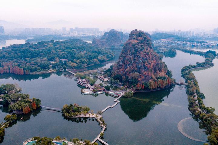 星湖冬日燃情，比落羽杉还要红的是什么？#我和湿地有个约会#