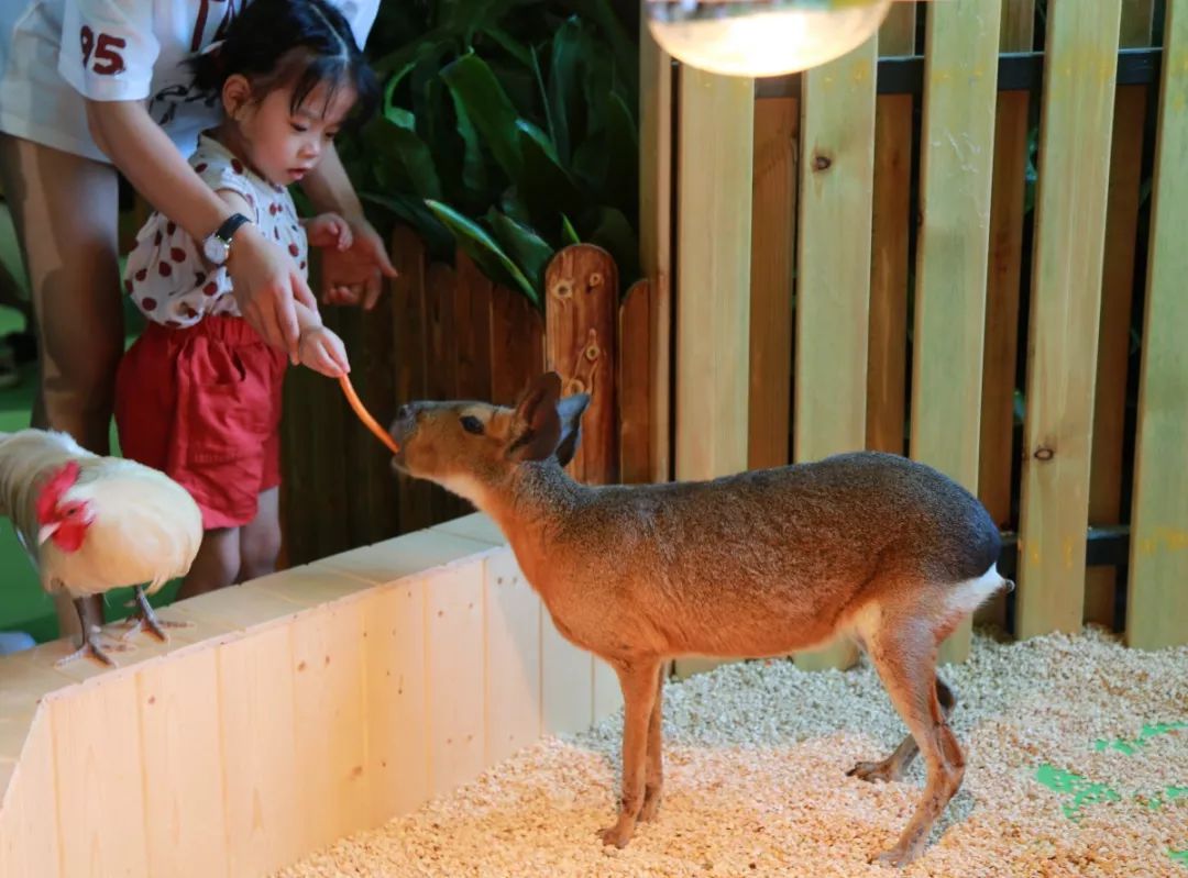 海昌萌宠乐园在几楼,海昌萌宠南通