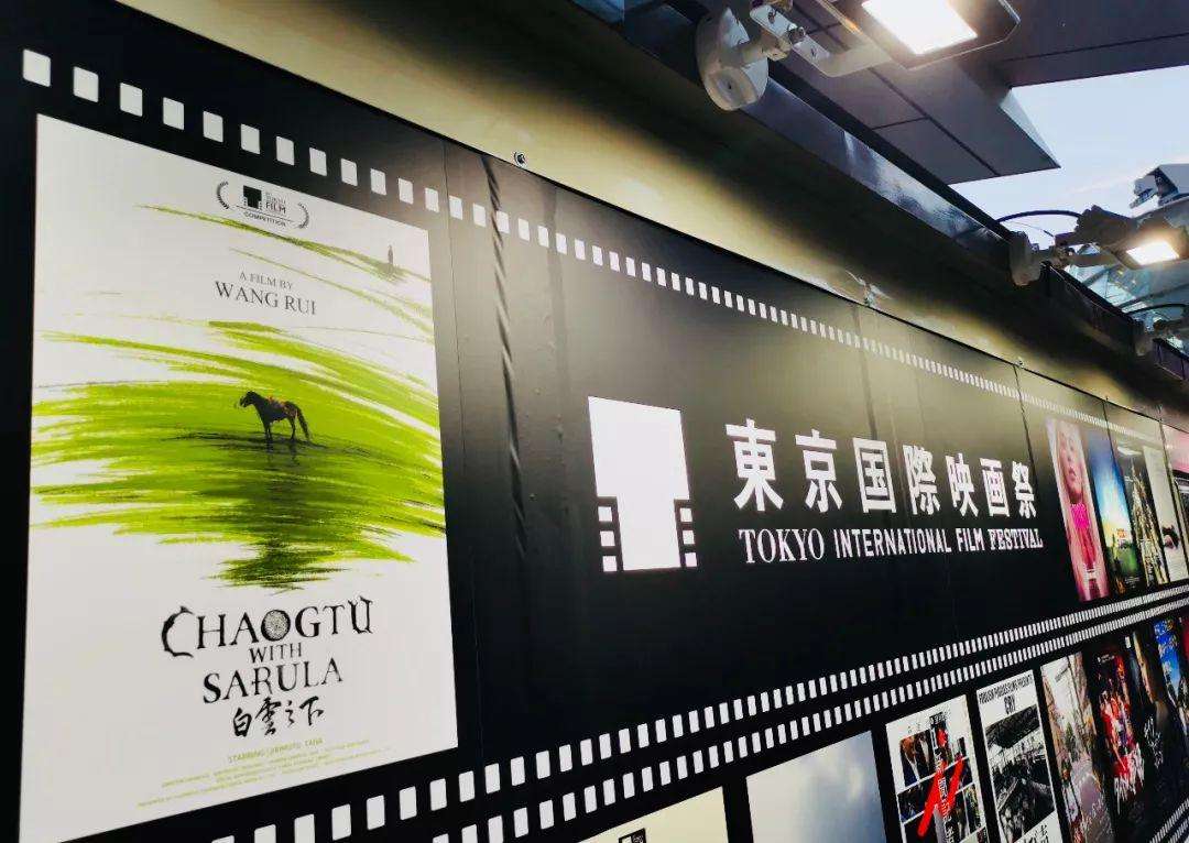 影院复工第一天,电影院复工第一场电影推荐