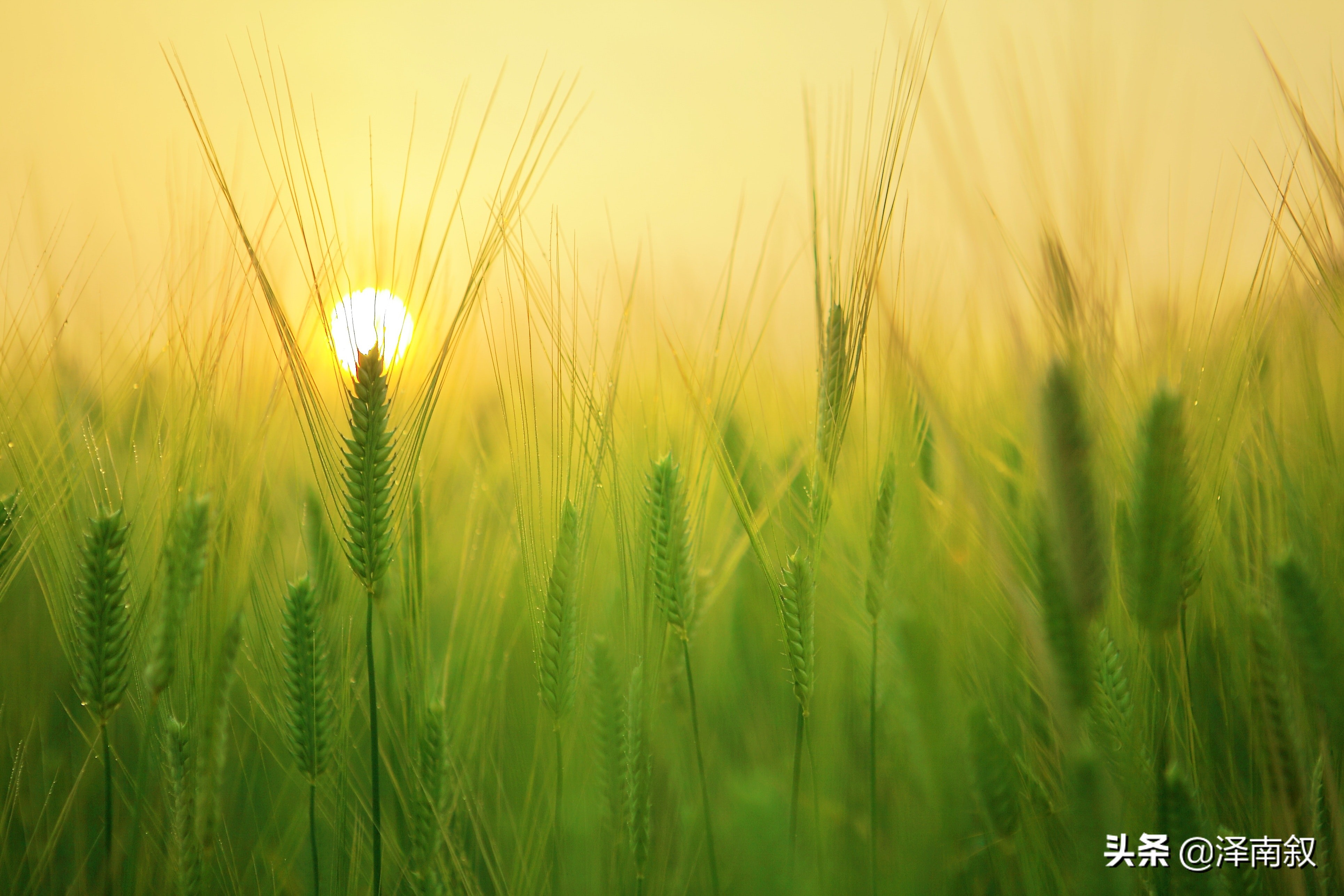 疫情过后一切都会变得更好,疫情要过去了一切都会好起来