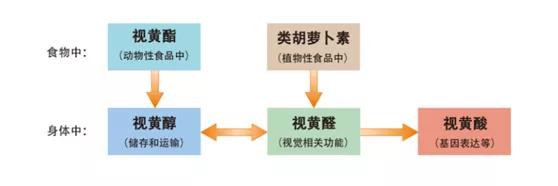 疫情期间需要吃维生素吗,疫情专家建议多吃维生素