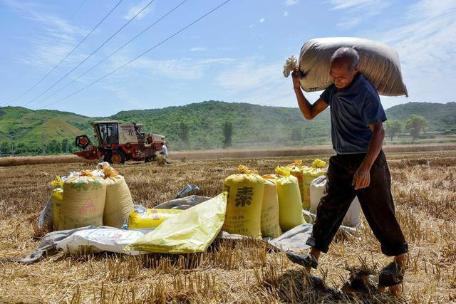 农民的土地被拆迁了怎么办,农民土地被收回怎么办