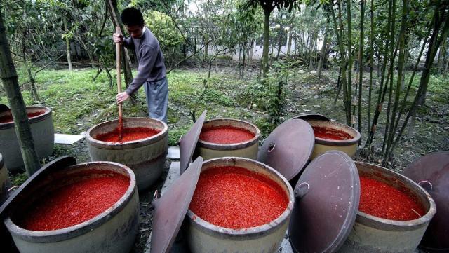 四川旅游必带十大特产,四川必买十大特产有哪些