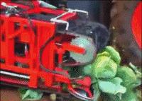 德国的认真和严谨,德国人的严谨和认真有多可怕