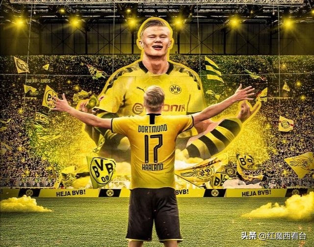 埃尔林哈兰德哪个国家队,埃尔林哈兰德进球集锦