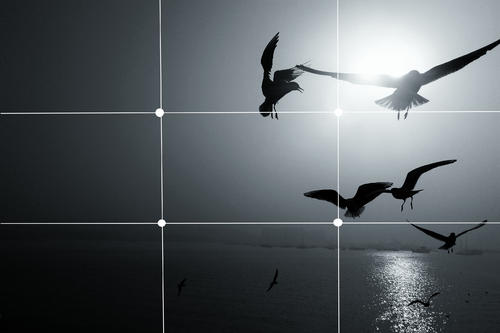 短视频创作灵感拍摄技巧,拍摄高质量短视频教学