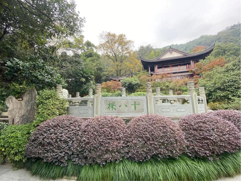 天价土豪茶叶，想都想不到的价格