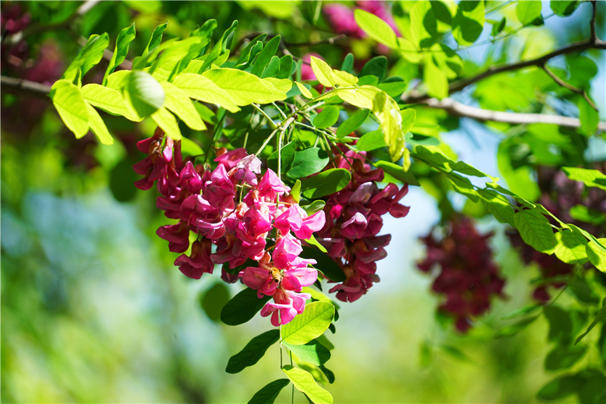 河北最神秘的山,河北最低调古城在哪里