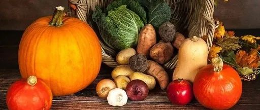 蔬菜发芽还能吃吗,蔬菜发芽了还能买吗