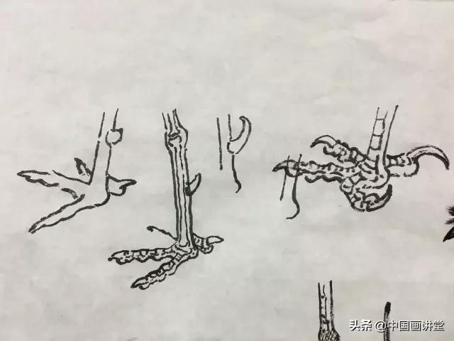 怎么用彩铅画出一只鸟儿,最简单的鸟儿画法