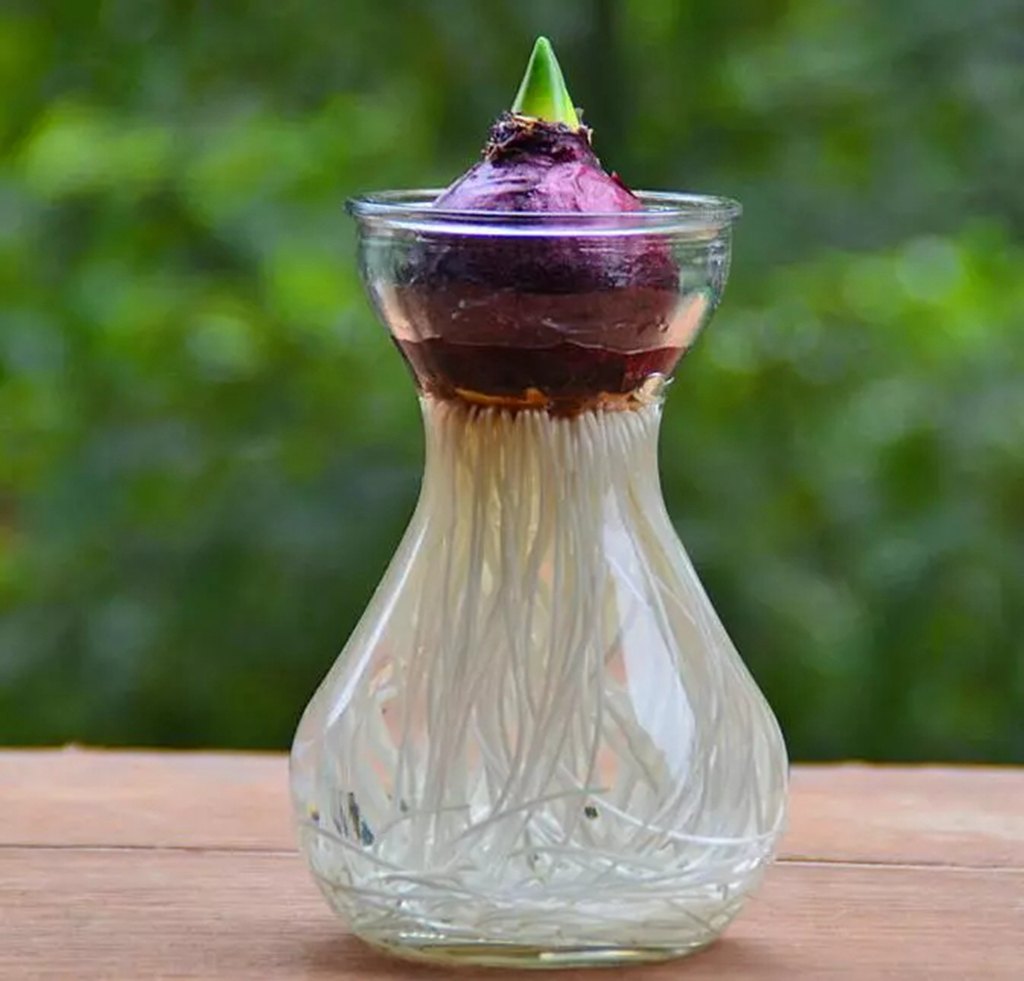 客厅卧室持久留香的香水,家里适合放什么香水