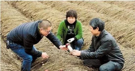 农村十大不起眼的暴利行业,10个农村冷门赚钱项目