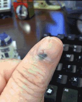 搞笑gif妹子的内心是崩溃的,搞笑gif妹子原来是个逗比