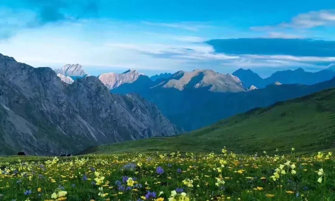 看阿坝县全景,阿坝环线海拔一览表