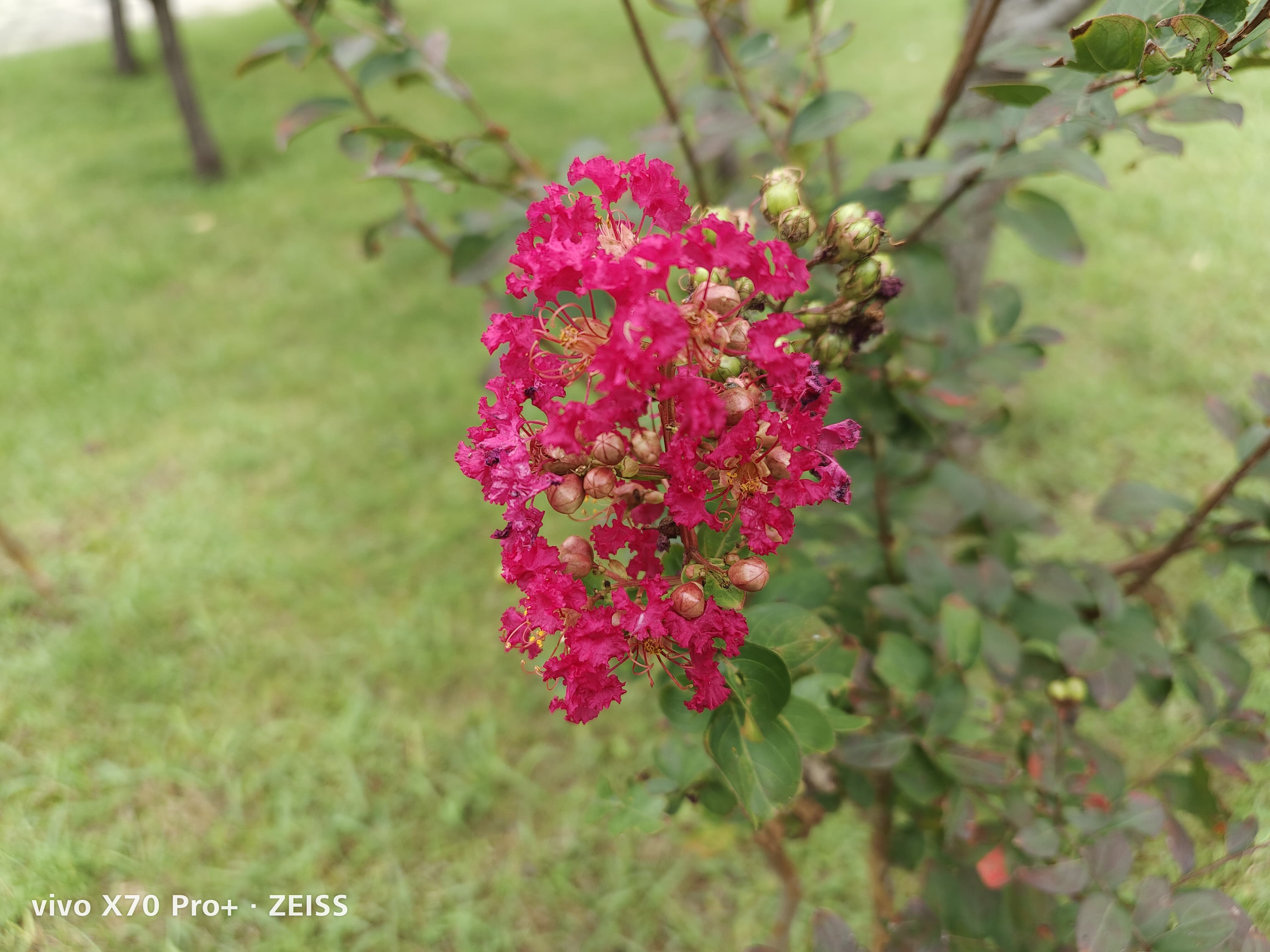 vivox70pro+双扬声器音质评测,vivox80pro天玑版评测