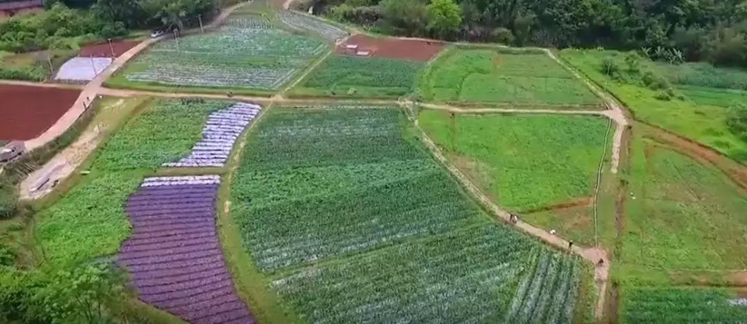 广东兴宁：女性回乡创业的成功案例