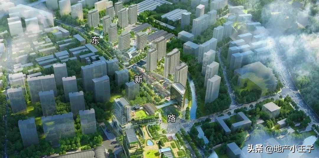 2019年摇红盘,摇不到的红盘