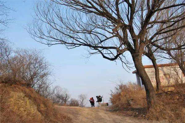 枯藤老树昏鸦小桥流水人家景象,枯藤老树昏鸦小桥流水人家意境