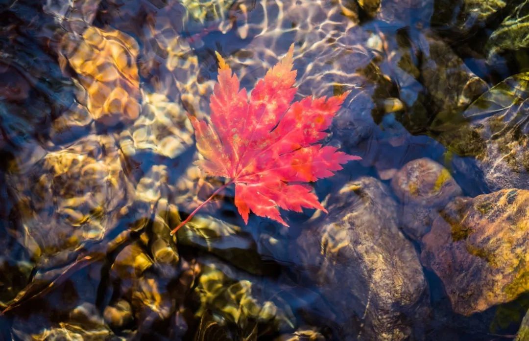 谁是东北第一城,谁才是东北第一城市