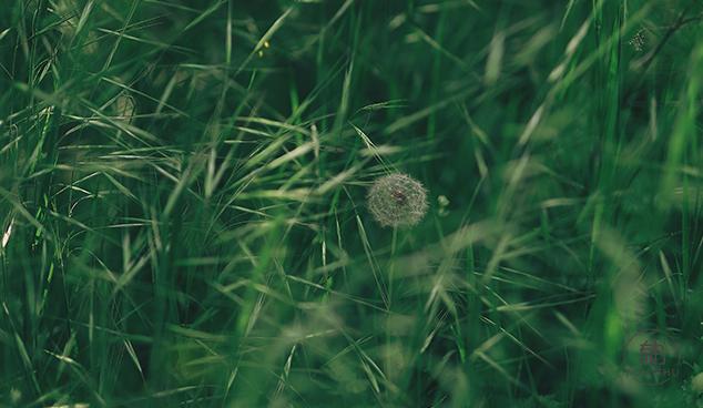 一个人最重要的能力是判断力,拥有洞察力有什么好处