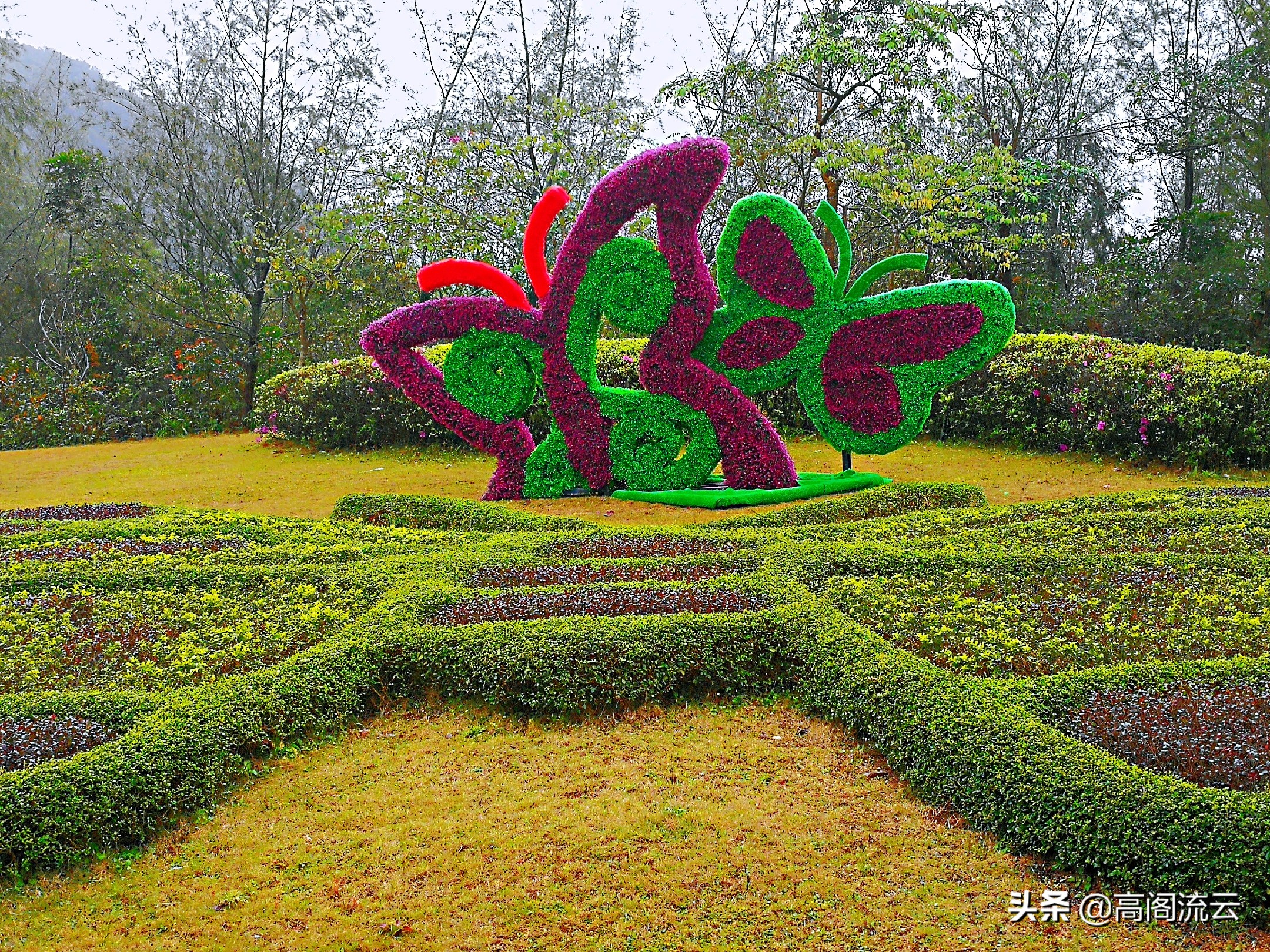 深圳旅游东部华侨城,深圳旅游必去十大景点东部华侨城