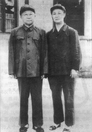 妻子精神异常丈夫不离不弃电视剧,妻子突发精神分裂症