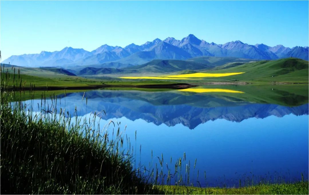 山丹军马场世界第一大军马场,亚洲第一马场山丹军马场直播