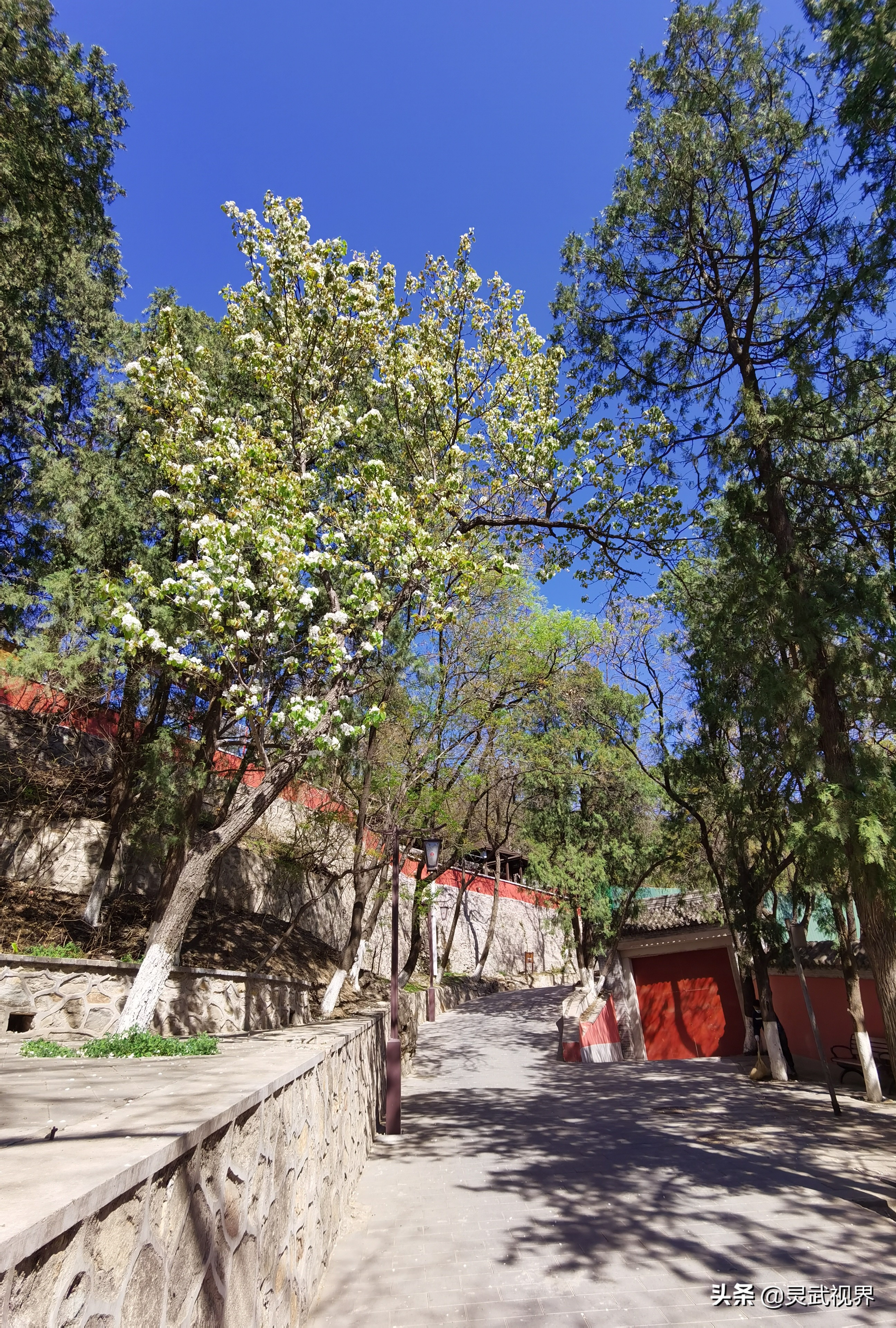 带你看看不一样的装饰,带你看看不一样的家