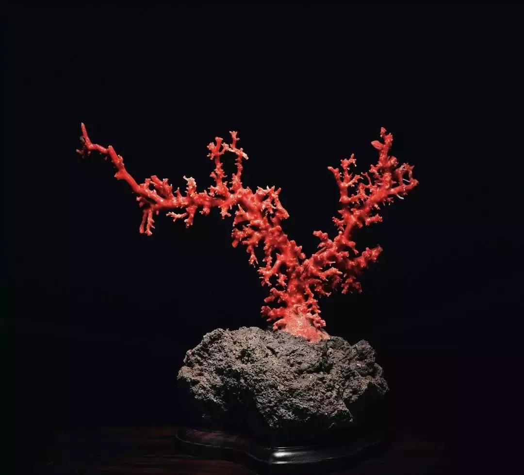 去香港旅游这些一定要知道,去香港怎么知道有没有被限制出境