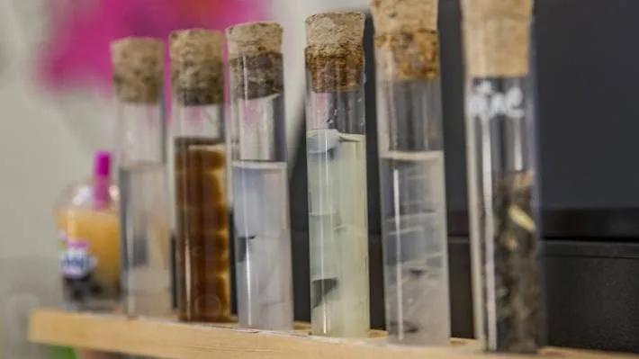 新西兰开中国奶茶店 (中国人去新西兰开奶茶店)