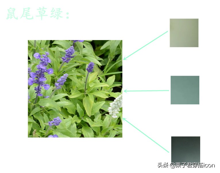 减龄穿搭夏新款,穿搭春天显白