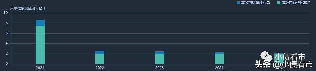 贵州水城经济开发区高科公司,贵州水城高科投资有限公司