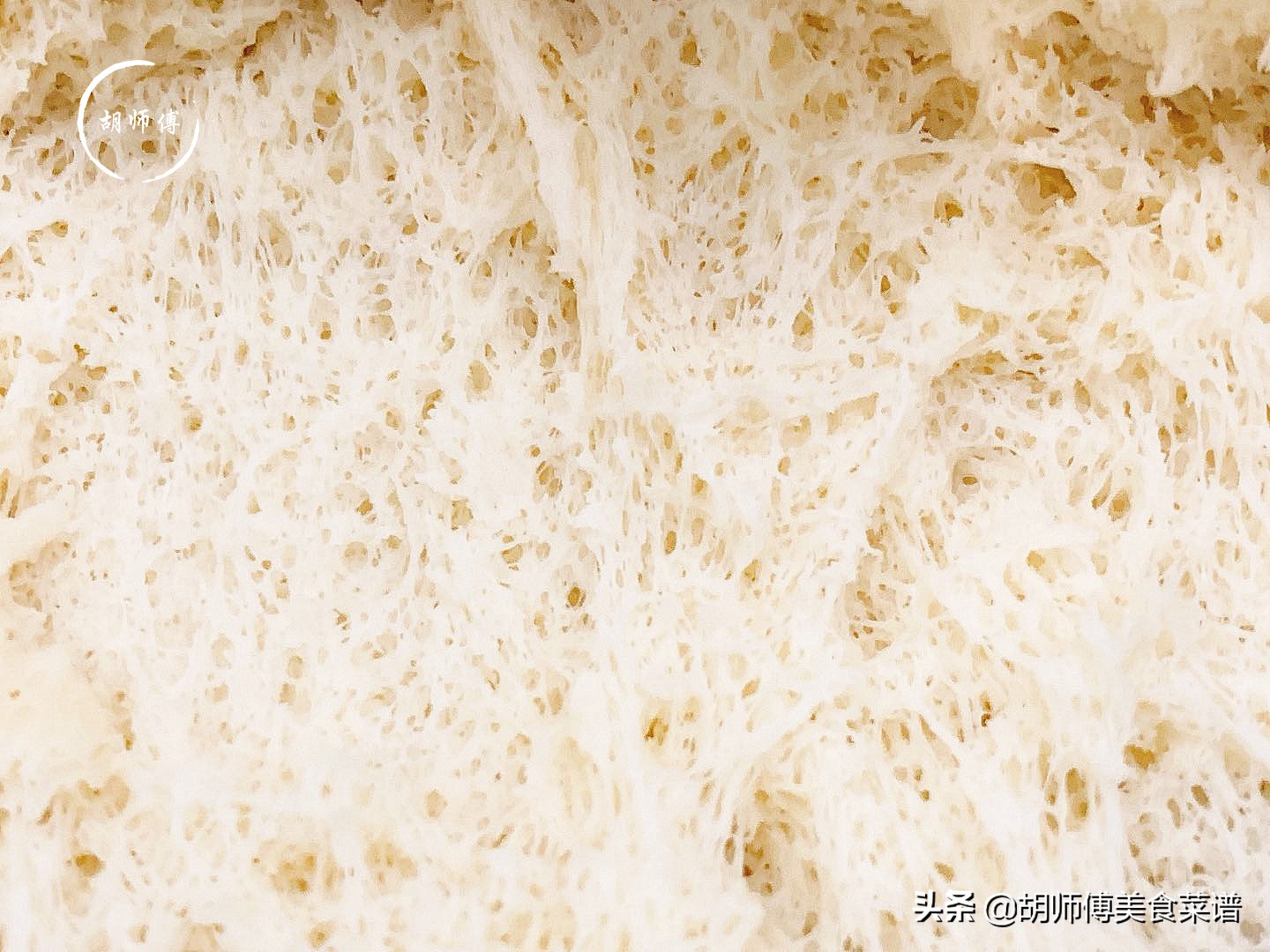 发面时酵母放多面发黑,发面的时候酵母放多了会怎么样