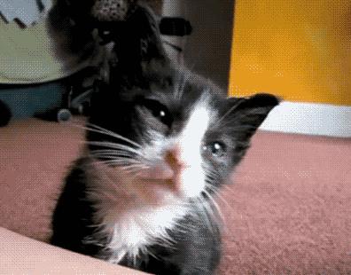 为什么明明不饿还是老想吃东西,明明不饿为啥还想吃东西