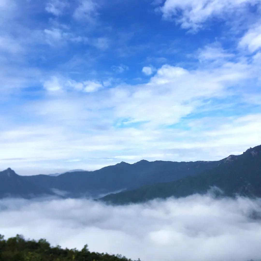 云髻山秋天图片,云髻山有雾凇吗