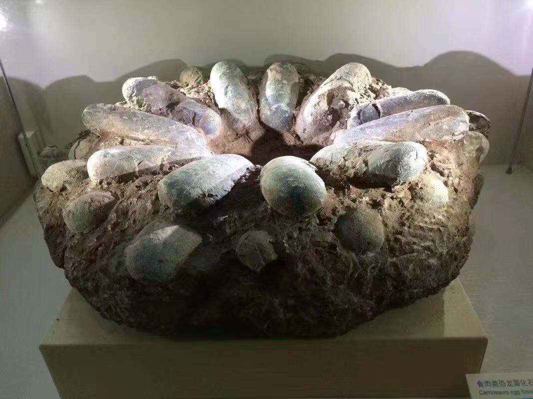 深圳大鹏旅游必去十大景点,深圳大鹏十个旅游景点