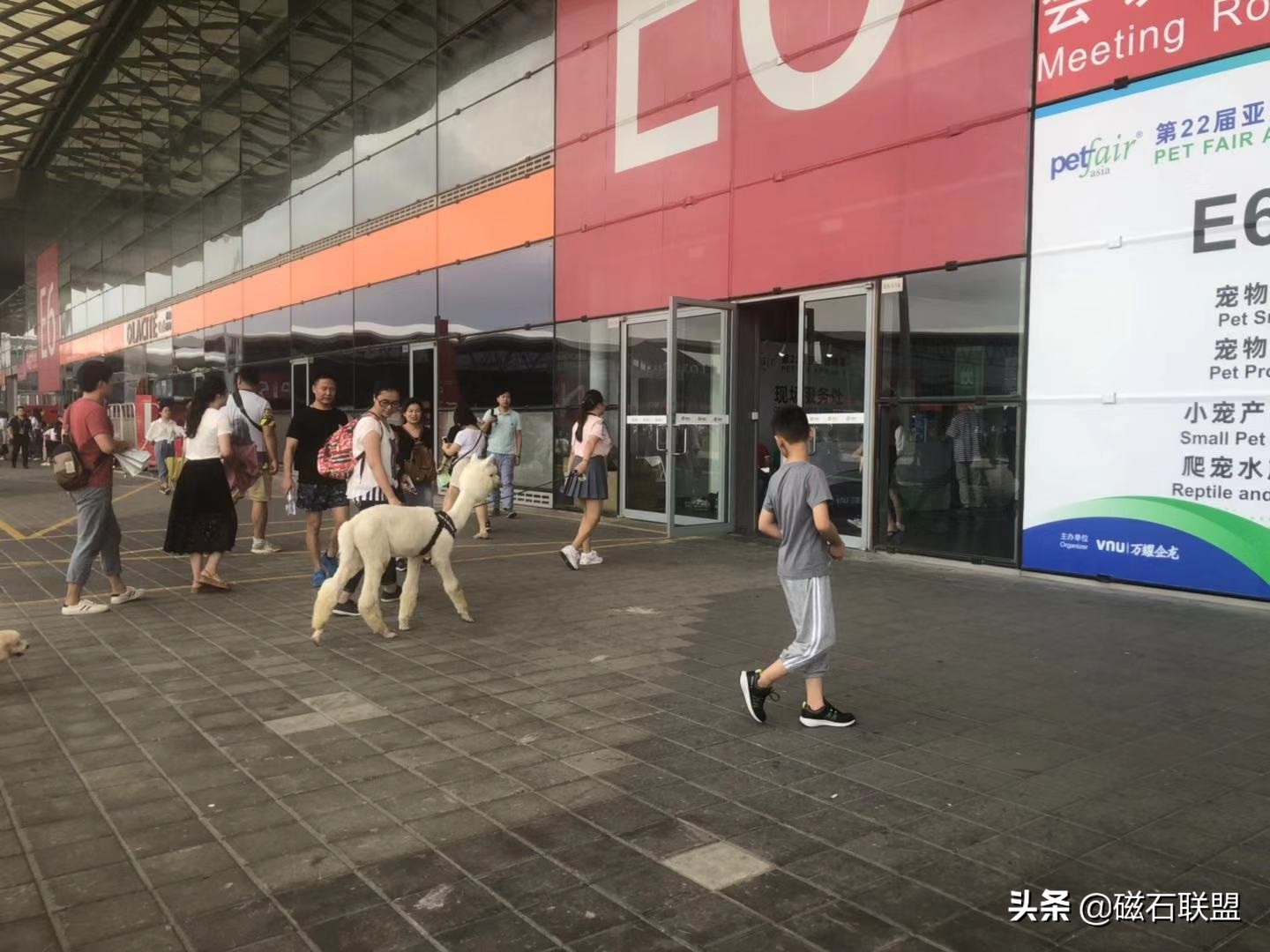 生气吐口水的神兽,神兽打架互吐口水