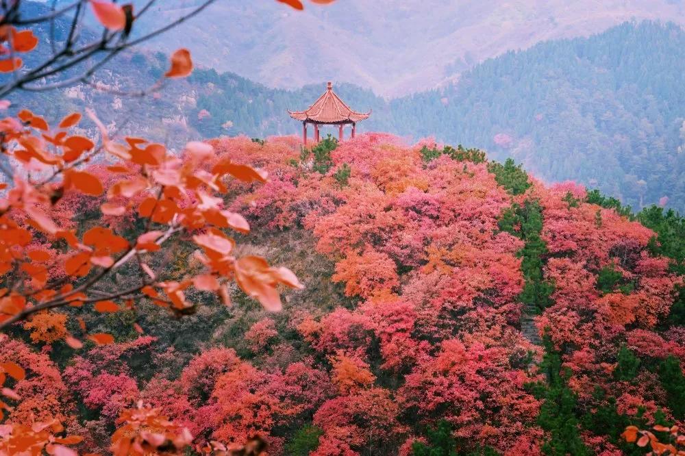 灵山秀水度深秋,灵山秀水堪称世外桃源