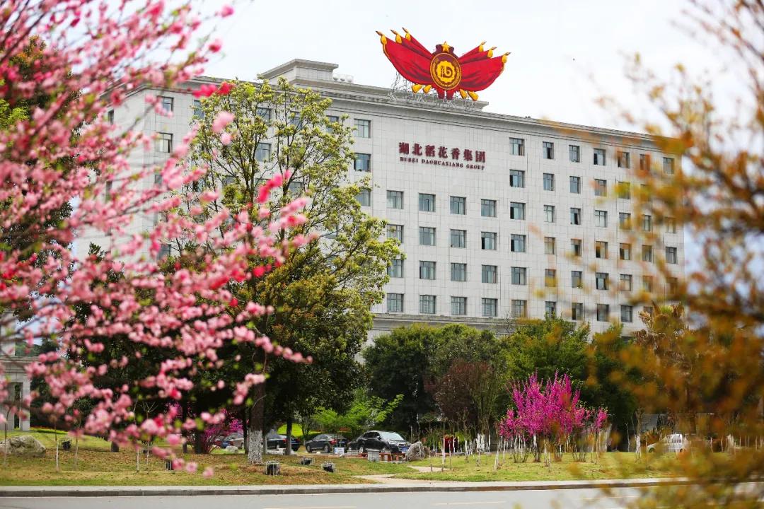 湖北稻花香酒业集团有限公司,湖北稻花香酒业简介