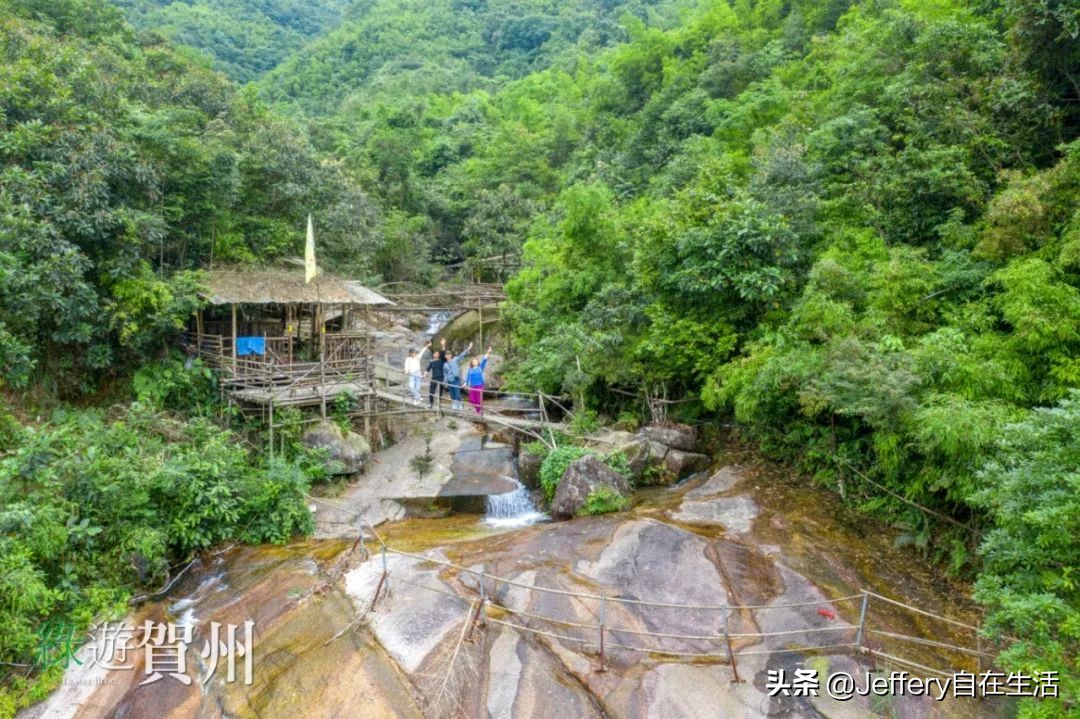 拍贺州｜莲塘镇大山深处的“一号基地”