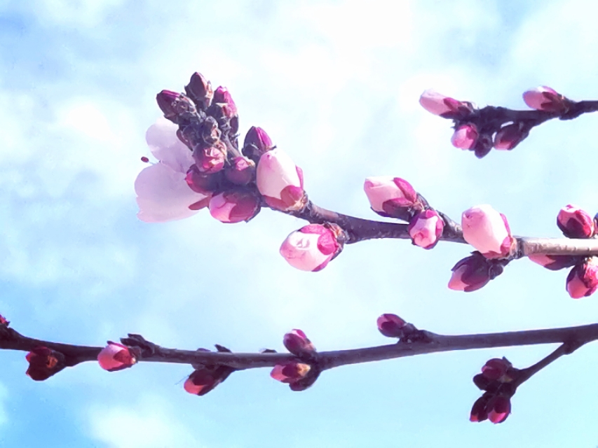 部编一年级语文下册注音,部编二年级下册语文注音练习