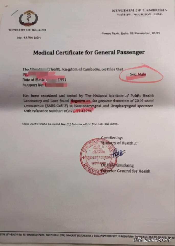 “女”变“男”,核酸报告的乌龙让我无法从柬埔寨登机