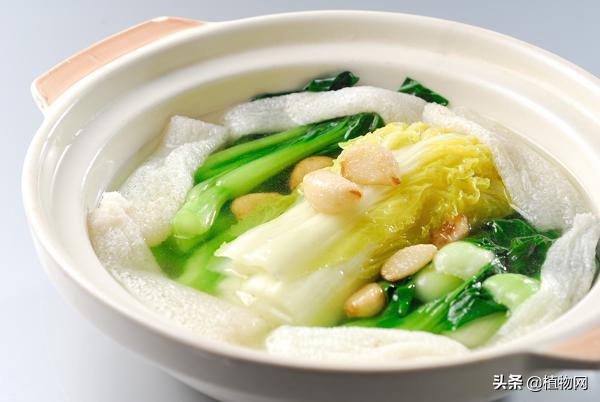 竹荪菌烹饪方法有哪些,菌中皇后竹荪的烹饪方法建议收藏