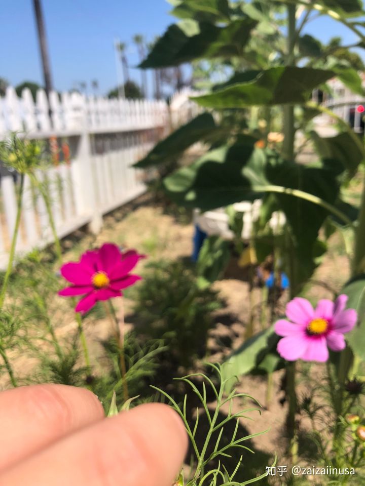 美国现在真实社会现状,美国社会真实的现状