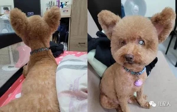 67岁耳朵嗡嗡响是什么原因,57岁耳朵嗡嗡响是怎么啦