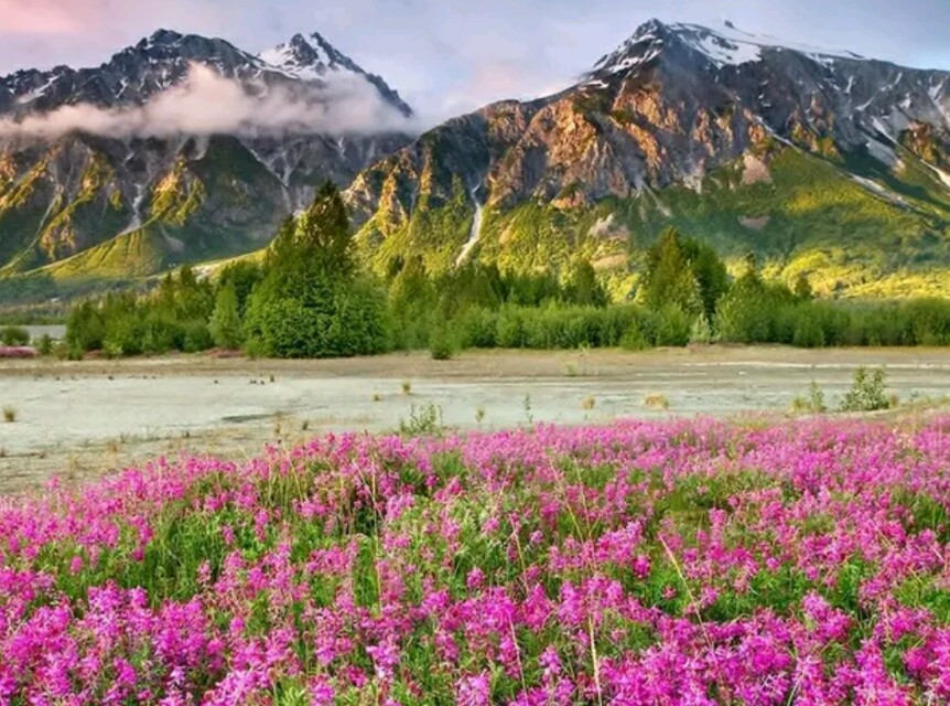 现在最挣钱的三大行业,当下挣钱的行业