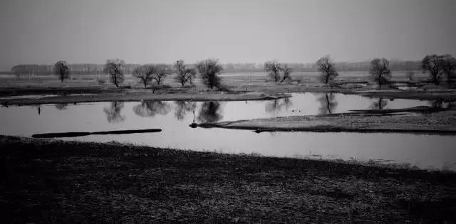 活成自己想要的模样沈北新区,你可能还不知道