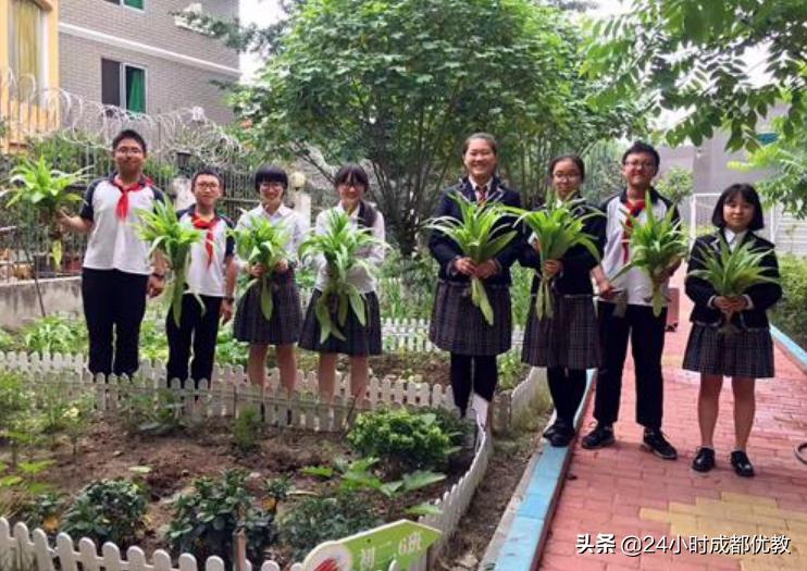 有情怀、国企管、小班化、性价比超高,尽在成都盐道街外语学校