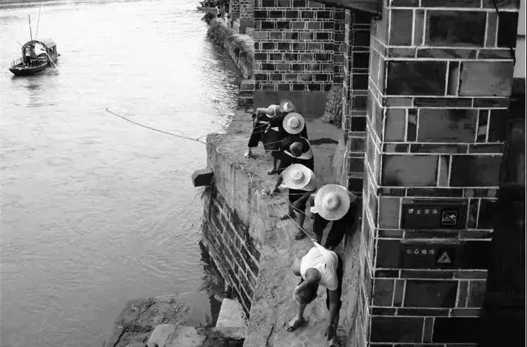 双流竟藏着如此绝美的“秘密公园”，约吗？